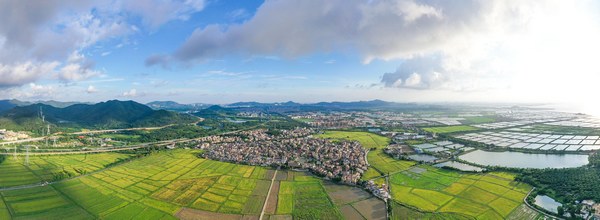 全国乡村振兴与农业现代化理论研讨会在安顺召开