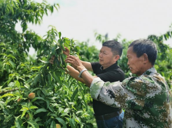 【原创】重庆市铜梁区：科技特派员入村兴农 助力乡村振兴_fororder_微信图片_20210520103231