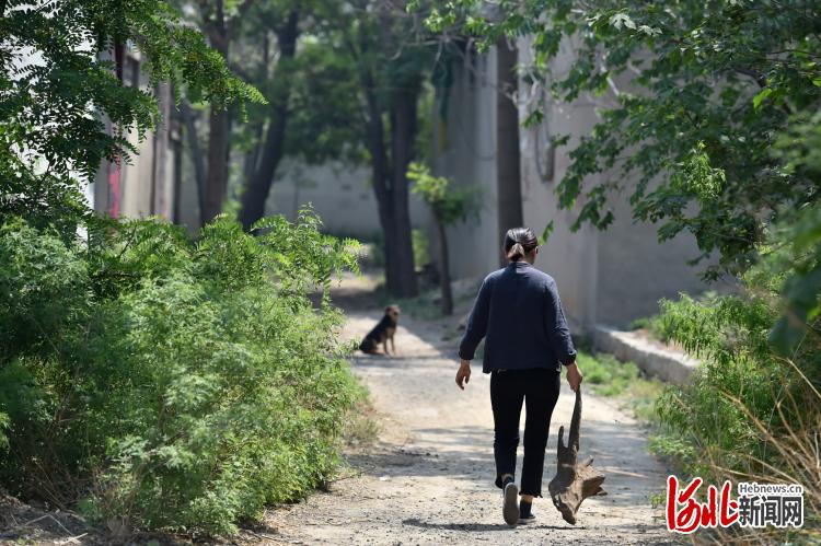 河北赞皇：纤手巧雕木韵浓