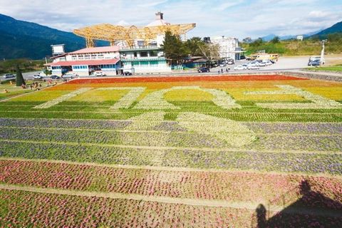 大地变成画布 花莲农民种出可吃地景