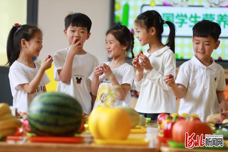 河北：普及营养知识 科学健康饮食