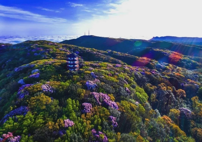 【转载】世界遗产名山（金佛山）峰会期间 金佛山免费游