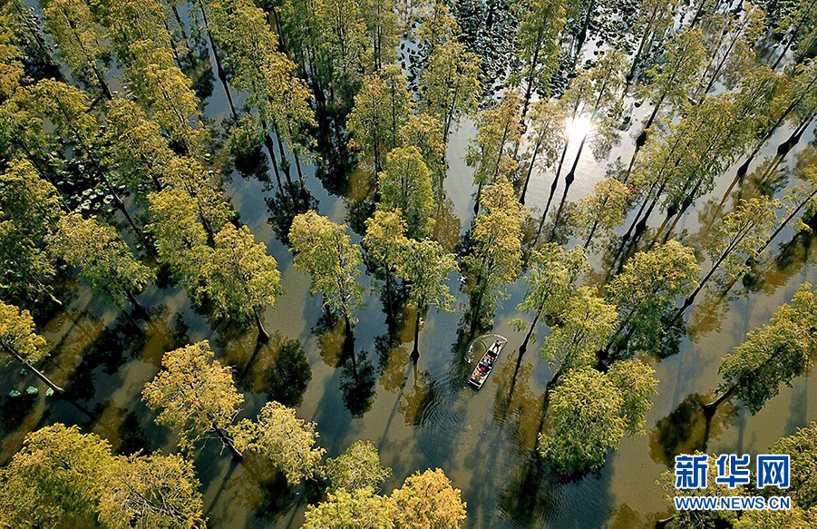 武汉新洲：涨渡湖湿地保护区挂牌生态环境司法修复基地示范点