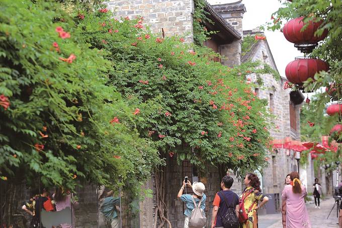 夏日老门东 凌霄花垂挂