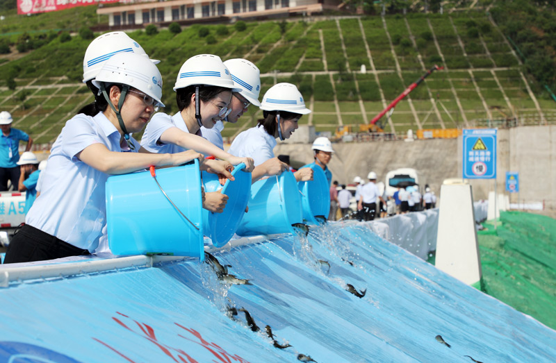 大藤峡水利枢纽增殖放流鱼苗170万尾