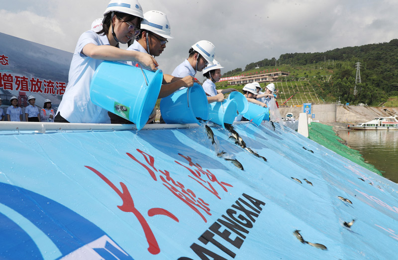 大藤峡水利枢纽增殖放流鱼苗170万尾