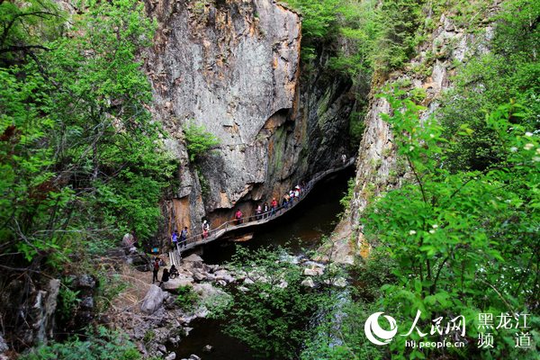 “森林游+”赋能“绿水青山” 今夏来龙江体验凉爽“林”距离