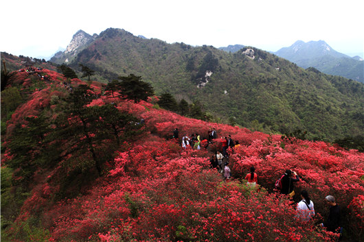 Domestic and overseas experts visited Mt. Turtle in Huanggang Dabieshan Geo-park