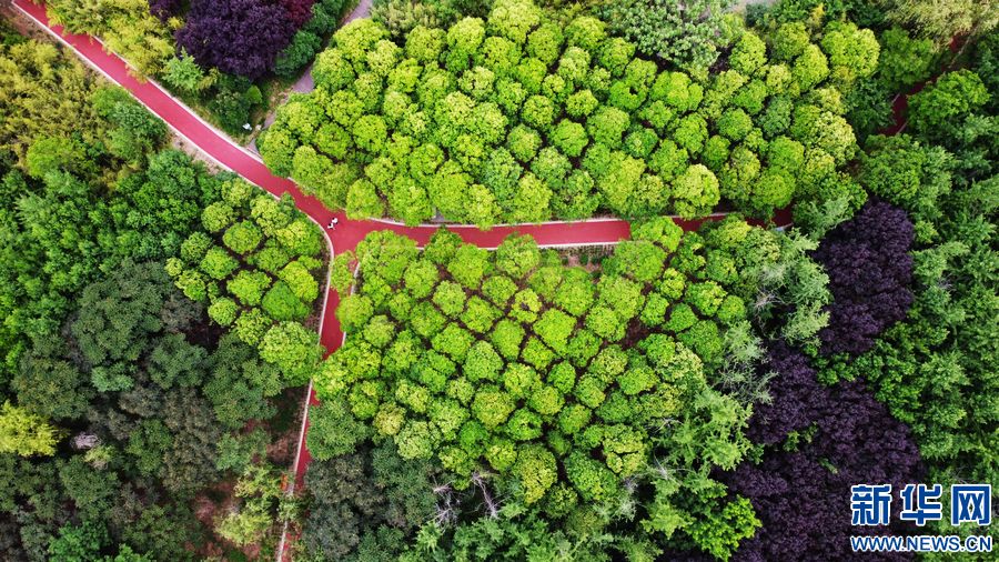 【飞“阅”中国】洛阳：“城市绿肺”打造鲜氧生活