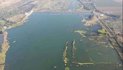 OK【河南供稿】平顶山市郏县稳步推进农田水利工程建设