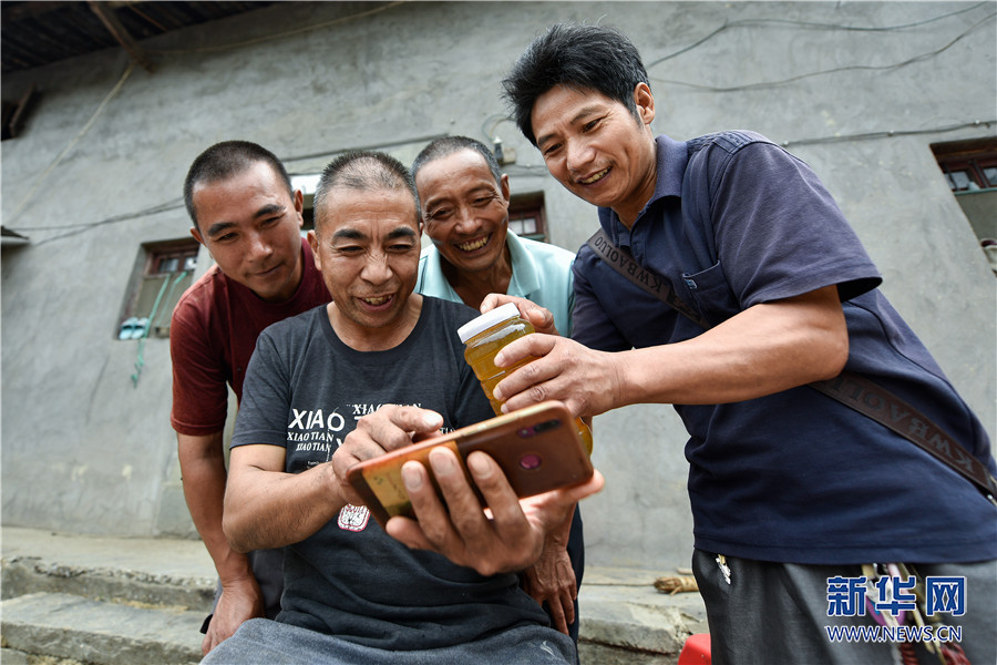 【城市远洋】重庆石柱：小蜜蜂托起乡村振兴大梦想