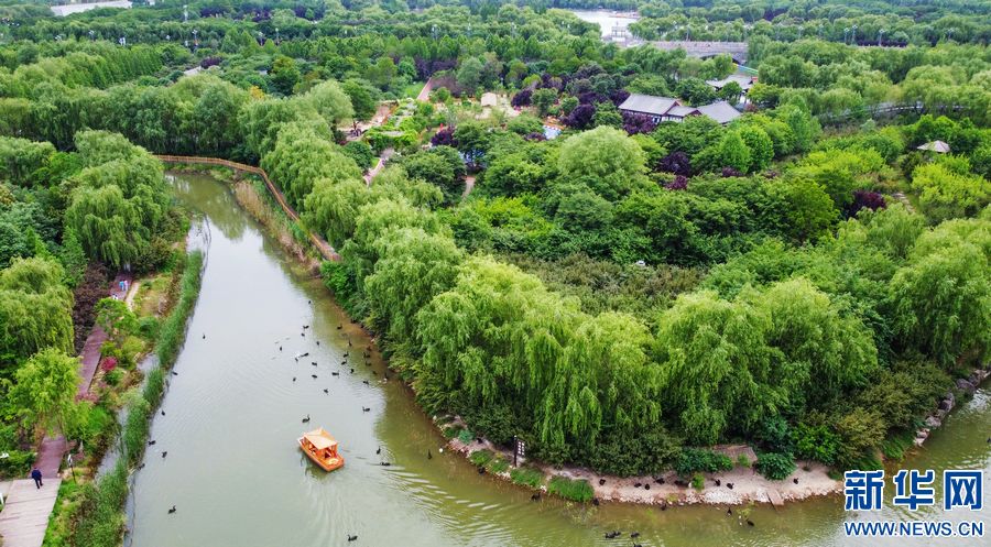 【飞“阅”中国】洛阳：“城市绿肺”打造鲜氧生活