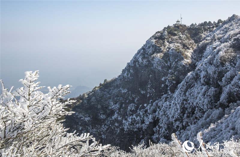 湖北通山：山花冰花争斗艳 人间四月尽芳菲