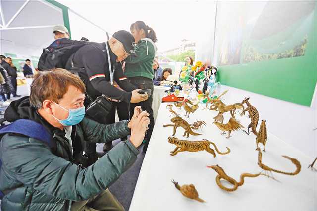 【城市远洋】武陵山精品景区、非遗及特色商品展启幕