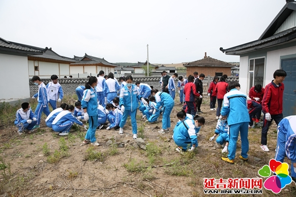 州暨延吉市主题团日活动 为大地添彩增绿