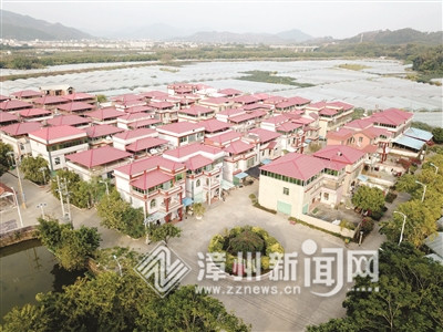 【福建时间列表】【漳州】【移动版】漳州市开展乡村振兴争先创优树标杆行动综述