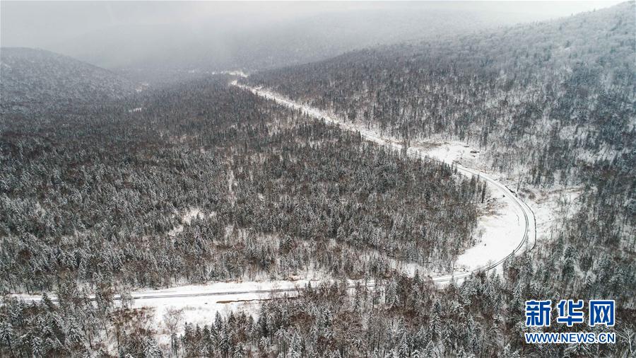 牡丹江市雪染层林