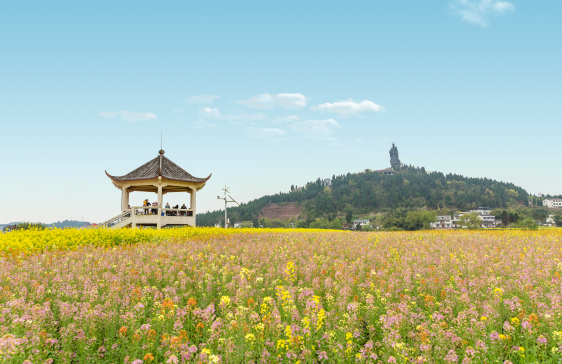 【有修改】【OK】【急稿】【意向客户】【潼南区旅投集团供稿】180万网友“云赏”重庆潼南彩色油菜花 助力文旅经济复苏