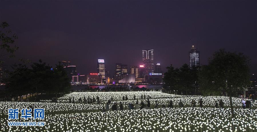 香港玫瑰灯海点亮维港