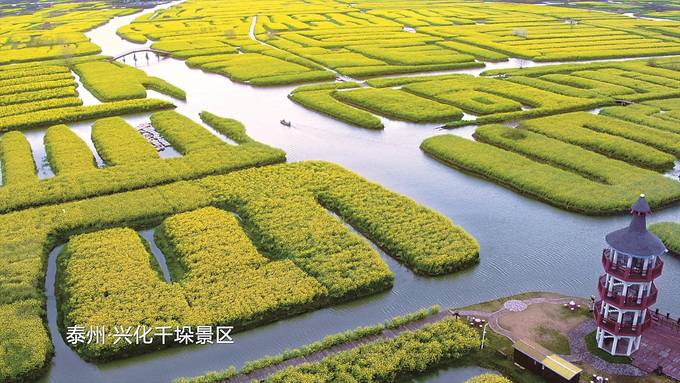 江苏：快来“希望的田野” 追寻“诗与远方”