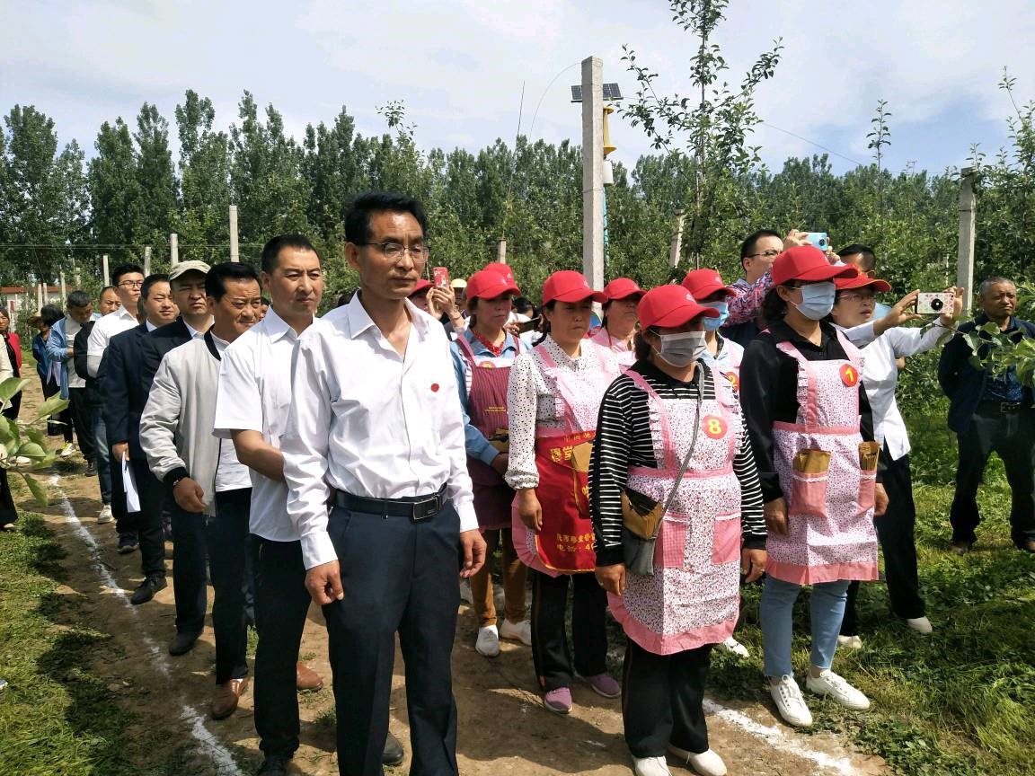 宝鸡陇县：结合果园夏管培训开展苹果套袋技能竞赛_fororder_2