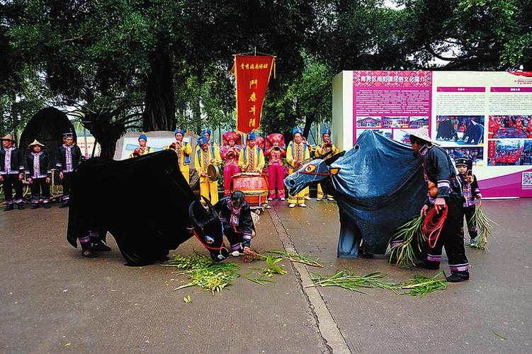 南宁青秀区：让民俗活动更具观赏性和艺术性