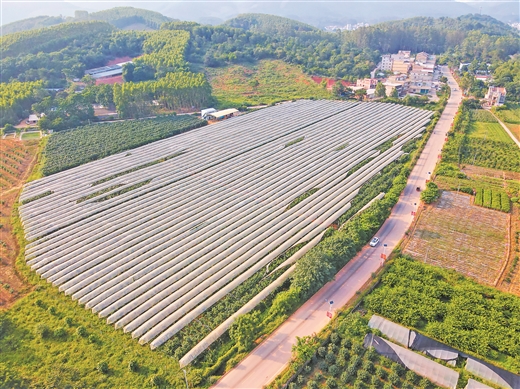 南宁市青秀区：青山秀水乡村美