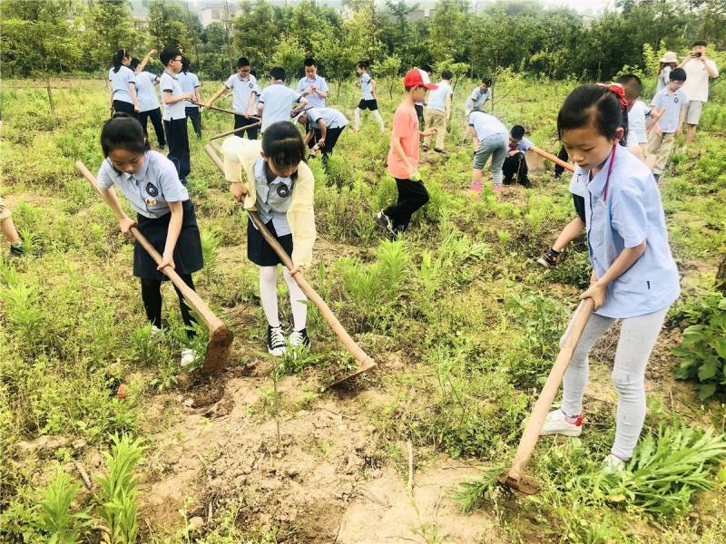 传承红色基因、讲好红色故事 各地中小学校开展多种形式主题活动