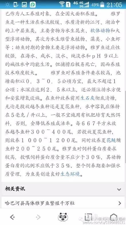 哈尔滨万元吃鱼：剧情大逆转了？真相究竟是什么？