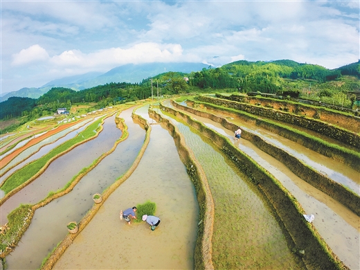 广西融水：苗山农耕 赓续千年