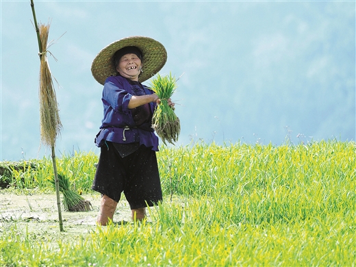 广西融水：苗山农耕 赓续千年