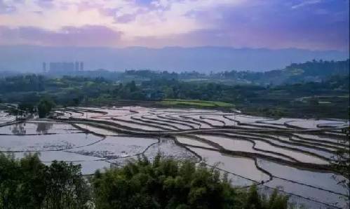 【环保视点专题 绿色康养】这些梯田错落层叠 风景美如画