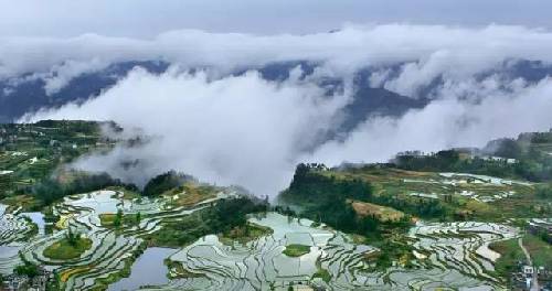 【环保视点专题 绿色康养】这些梯田错落层叠 风景美如画