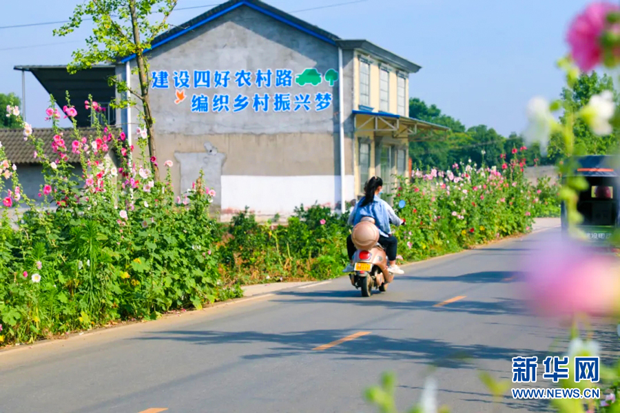 “四好农村路”串起乡村夏日美景