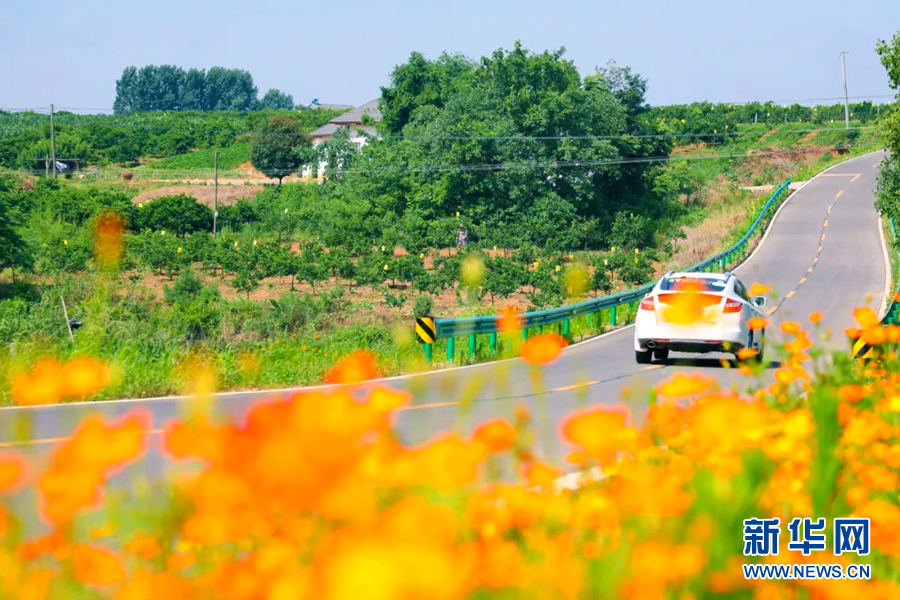 “四好农村路”串起乡村夏日美景