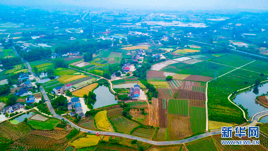 “四好农村路”串起乡村夏日美景