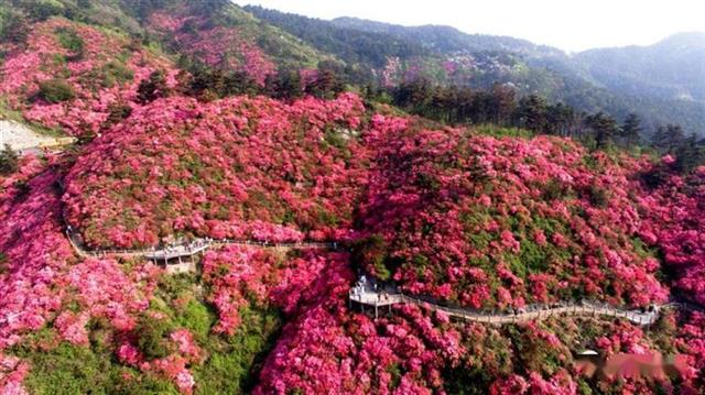 春日无限好——探访武汉黄陂区部分景区恢复开园情况