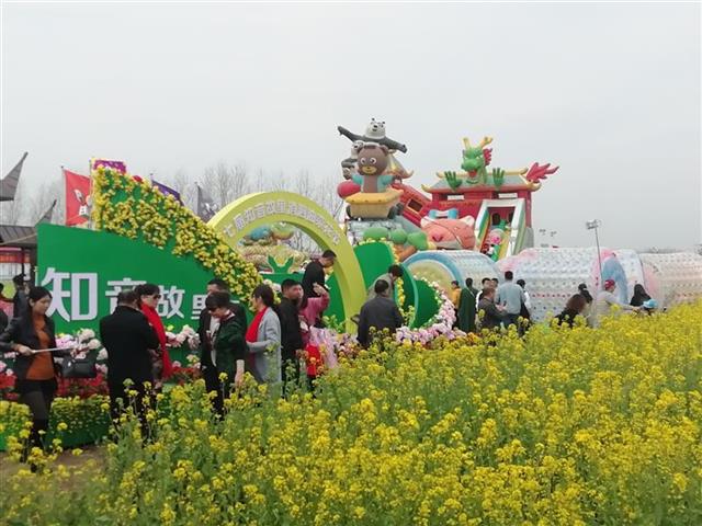 黄金花海任你游 知音故里蔡甸消泗油菜花节开幕