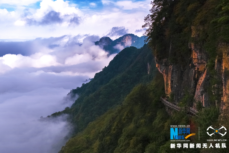 无人机之旅|神农架云海动静皆美 爱上“地球之肺”的航拍在这儿