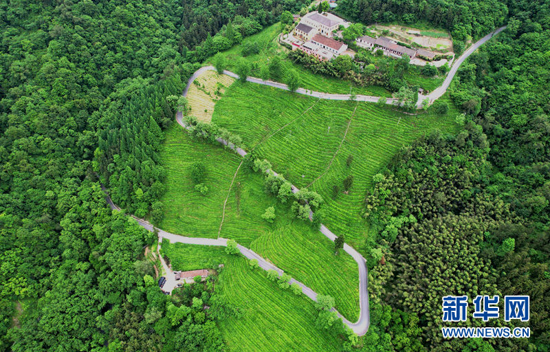 湖北保康：官山旅游路盘出大山致富路