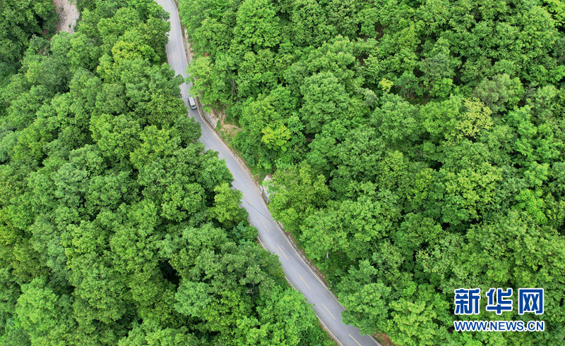 湖北保康：官山旅游路盘出大山致富路