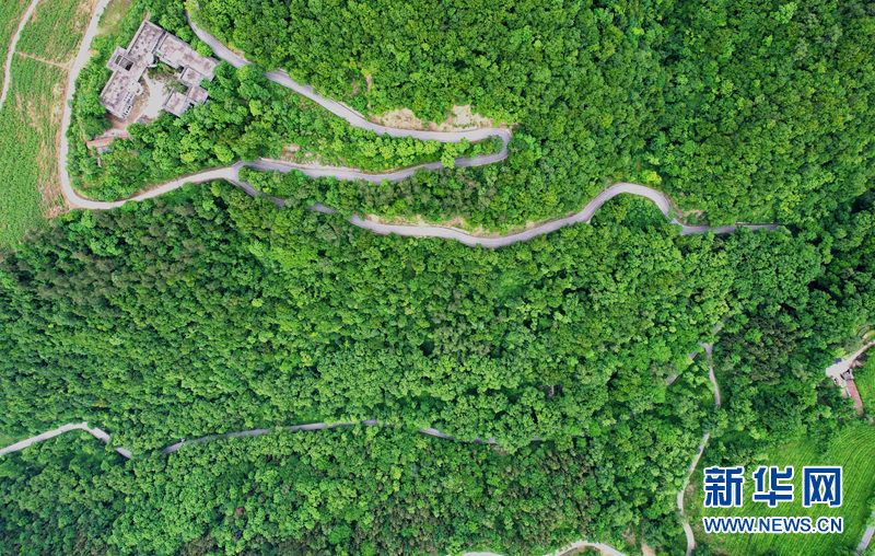 湖北保康：官山旅游路盘出大山致富路