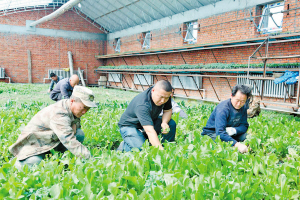 “龙须沟”变成了迎宾路