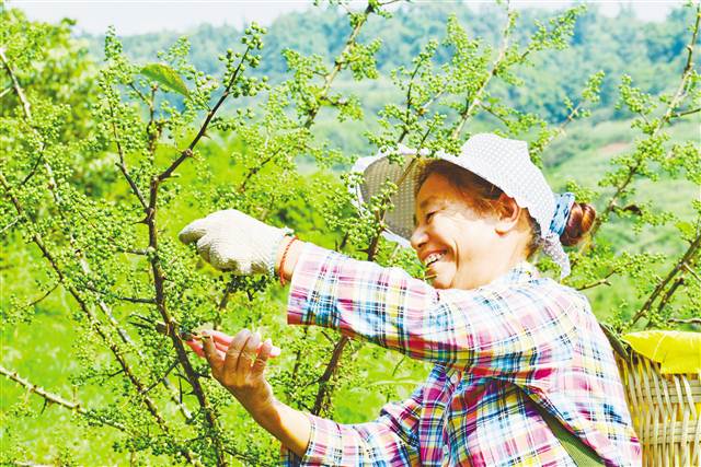 【区县联动】【渝北】渝北以机制创新不断增强民生获得感