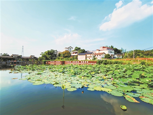 南宁市青秀区：青山秀水乡村美