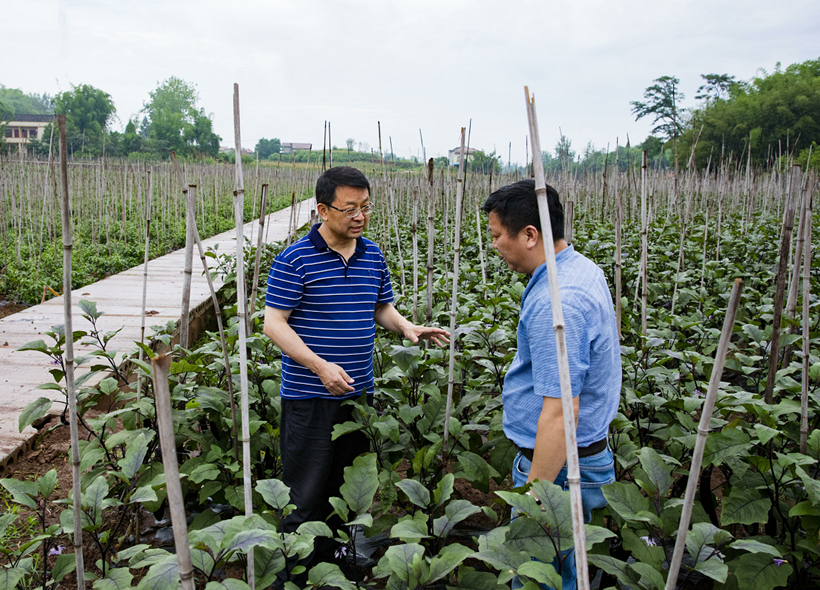 （转载）重庆铜梁：四方英才聚 夯筑强区路