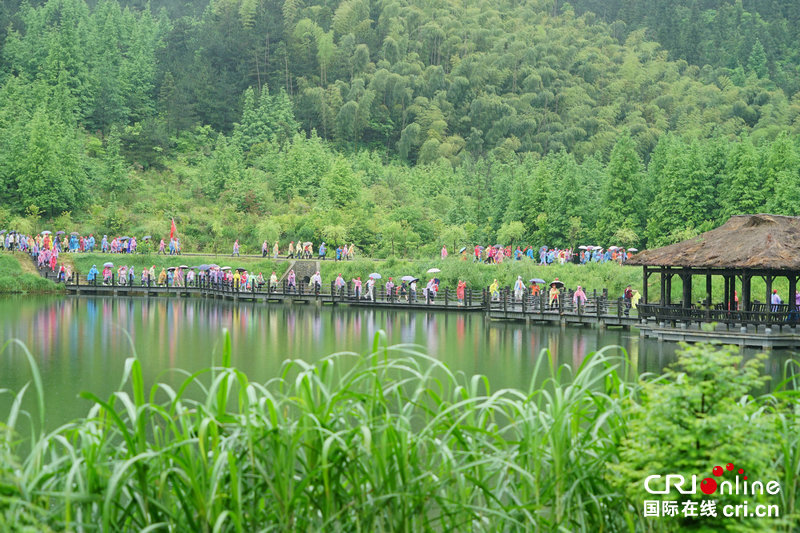 【河南原创】2019全国徒步大会首次落户信阳黄柏山旅游区