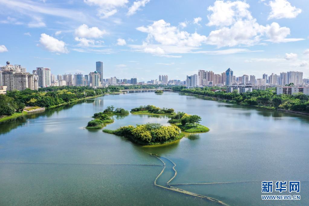 南宁：雨后城市湿地美