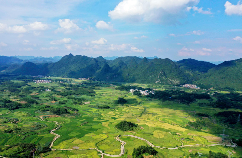 广西融安：夏日田园美