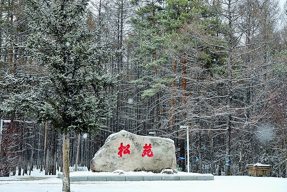 谷雨迎大雪漠河坠入童话世界